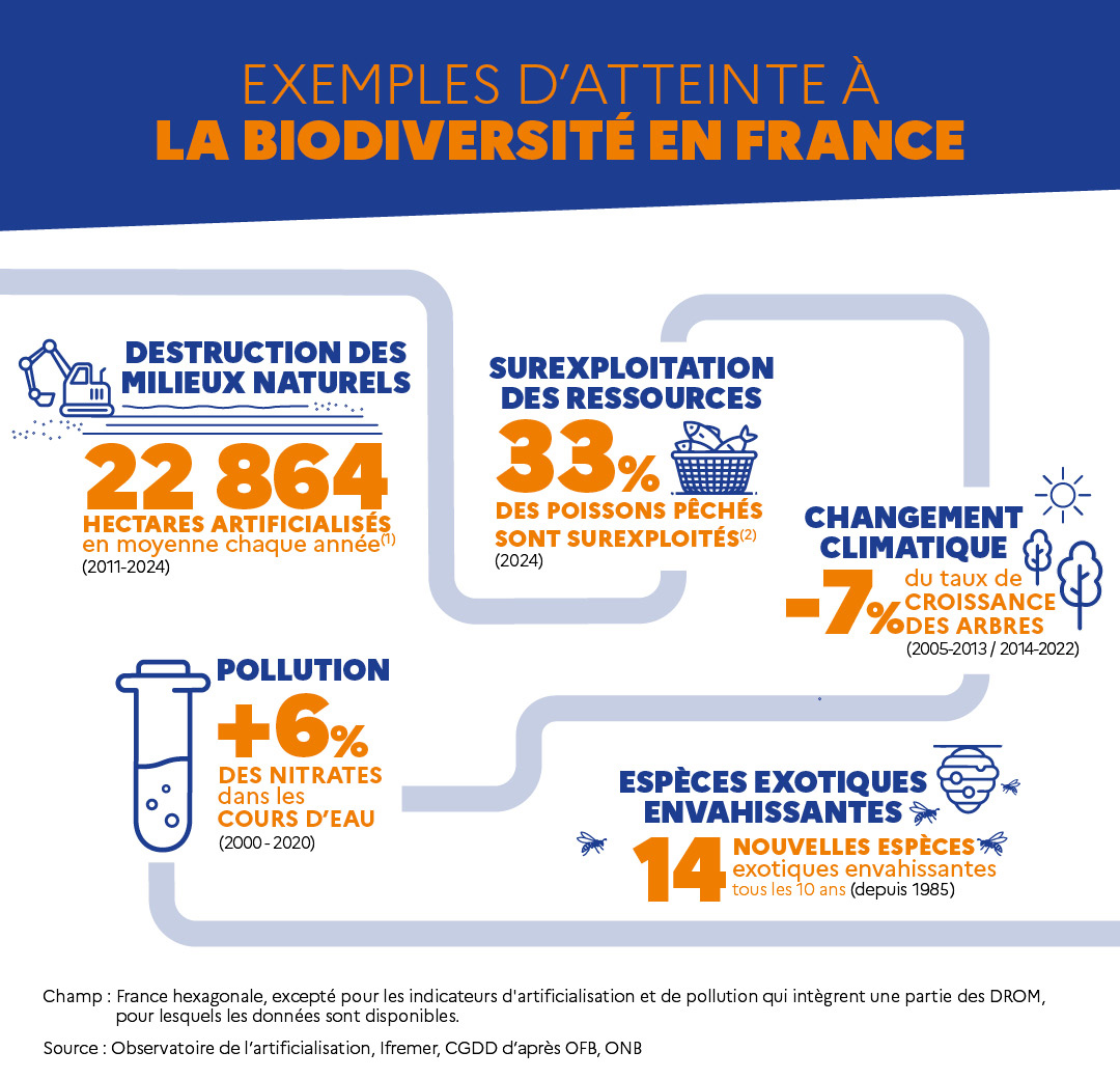 Les 5 pressions responsables du déclin de la biodiversité