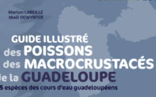 Couverture du guide avec la carte de la Guadeloupe en fond