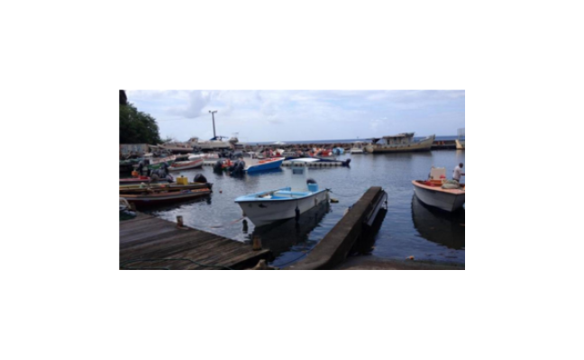 Des bateaux de pêche à un port