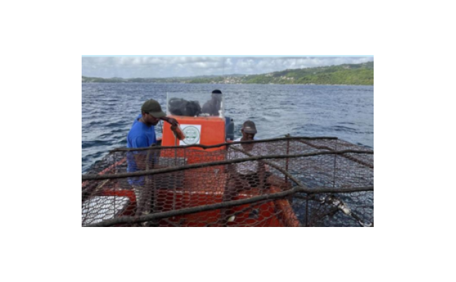 Collaboration du PNMM avec les marins pêcheurs
